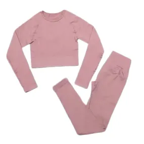 2 Piece Set Seamless Crop Top Long Sleeve Leggings