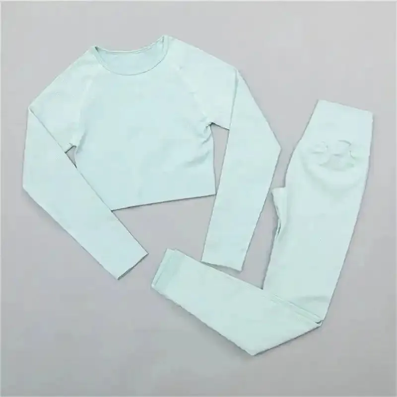 2 Piece Set Seamless Crop Top Long Sleeve Leggings