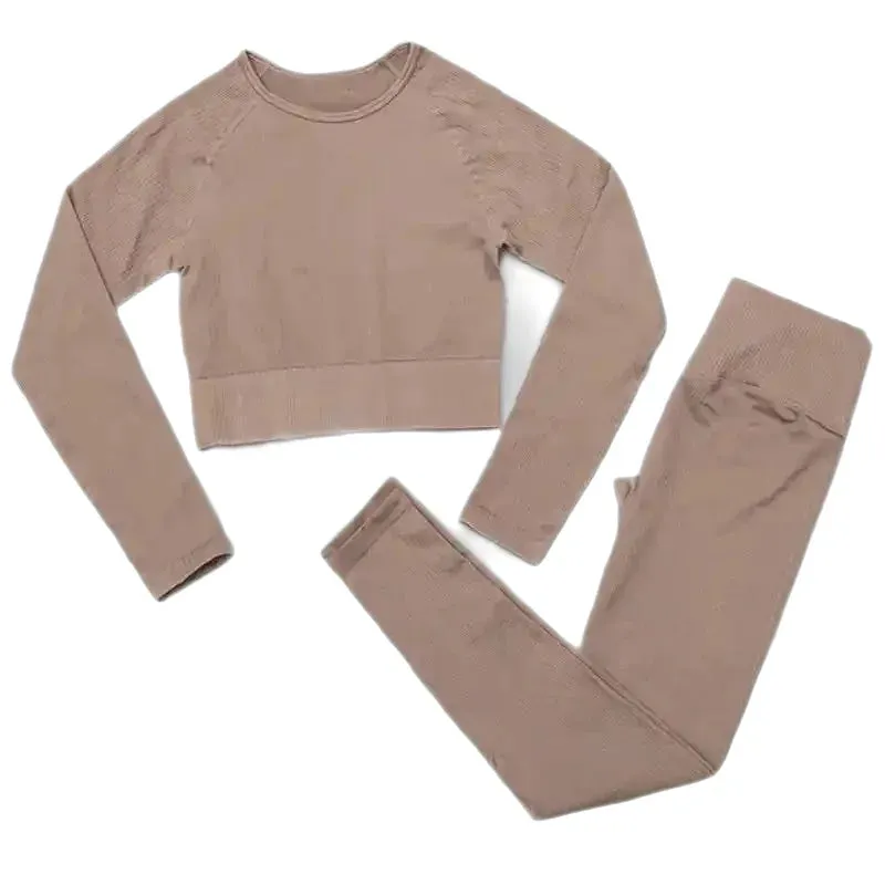 2 Piece Set Seamless Crop Top Long Sleeve Leggings