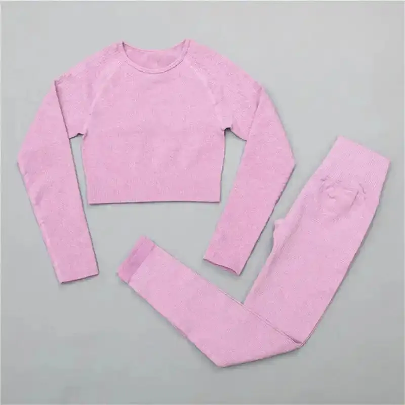 2 Piece Set Seamless Crop Top Long Sleeve Leggings